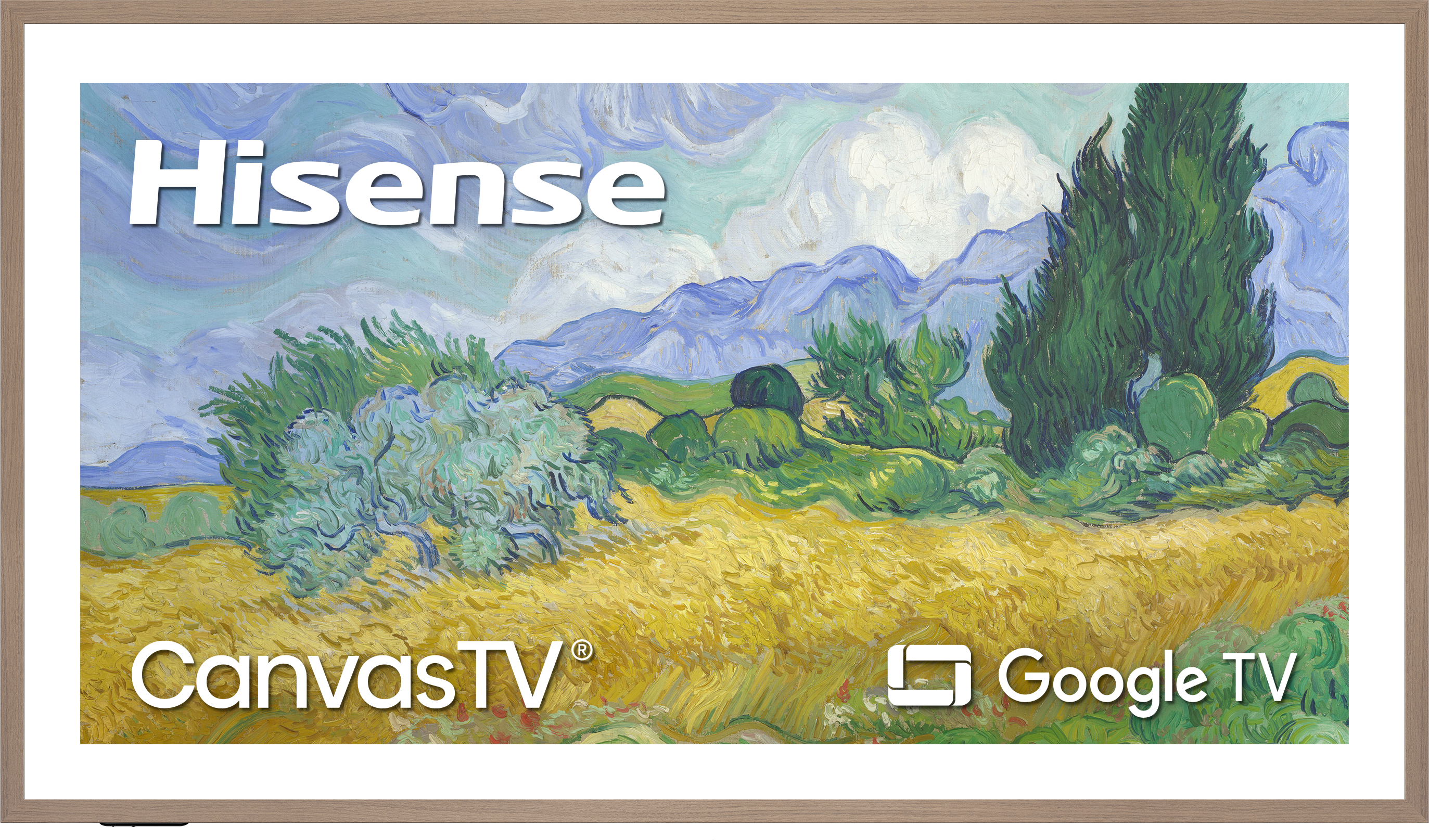Hisense  
CanvasTV  
Google TV