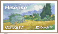 Hisense
CanvasTV
Google TV