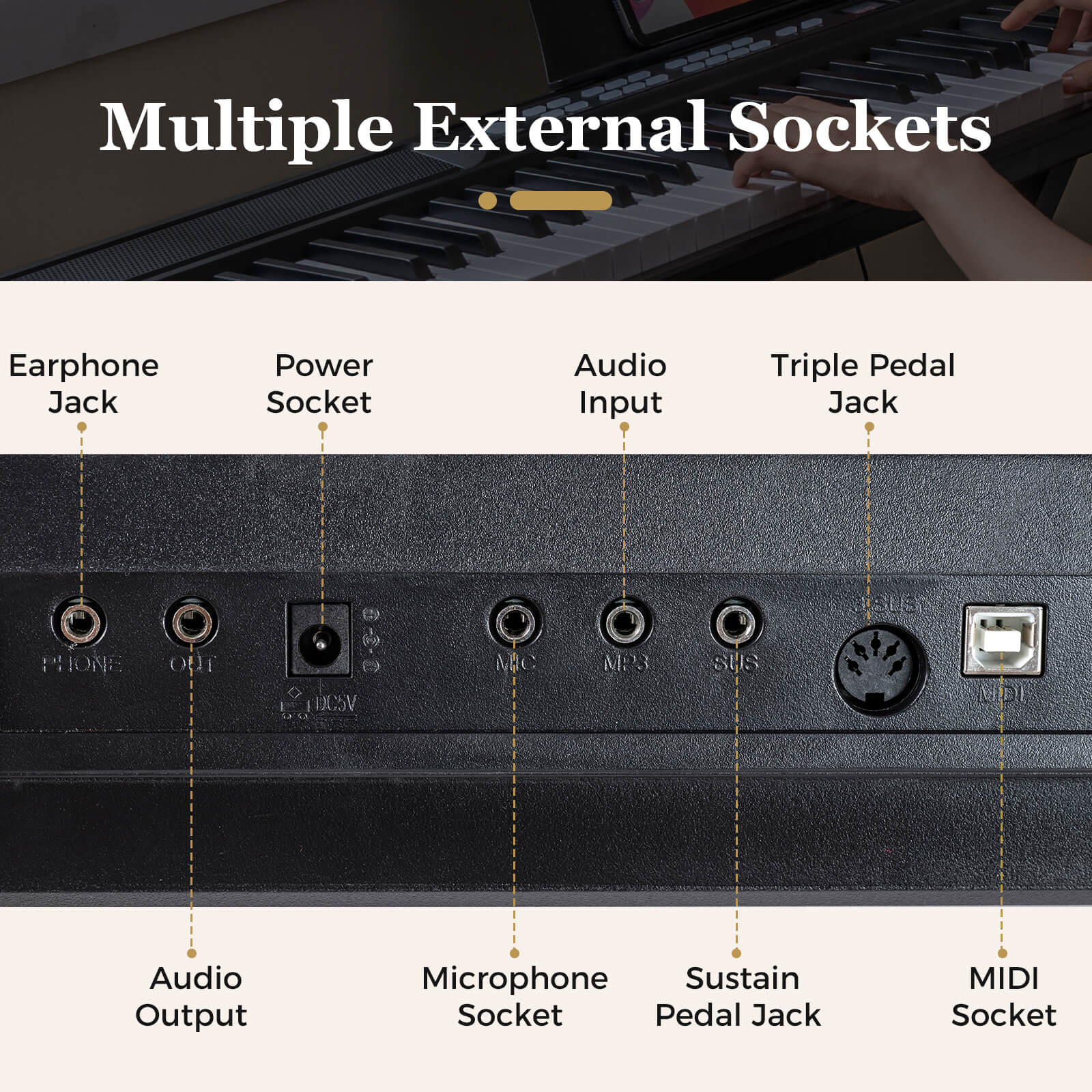 Multiple External Sockets

- Earphone Jack
- Power Socket
- Audio Input
- Triple Pedal Jack
- Audio Output
- Microphone Socket
- Sustain Pedal Jack
- MIDI Socket