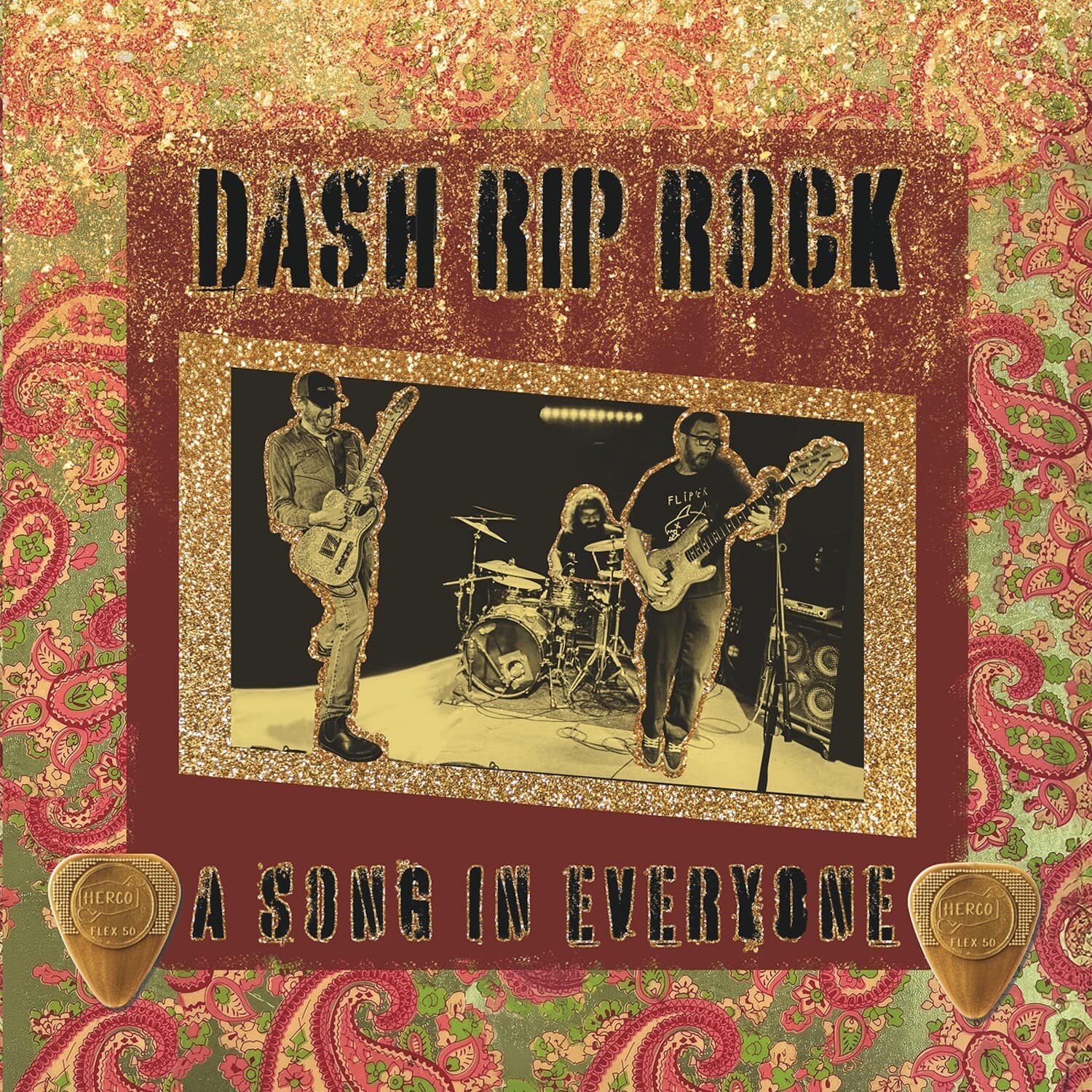Dash Rip Rock - A Song in Everyone   - VINYL LP price history on PriceWatchPro