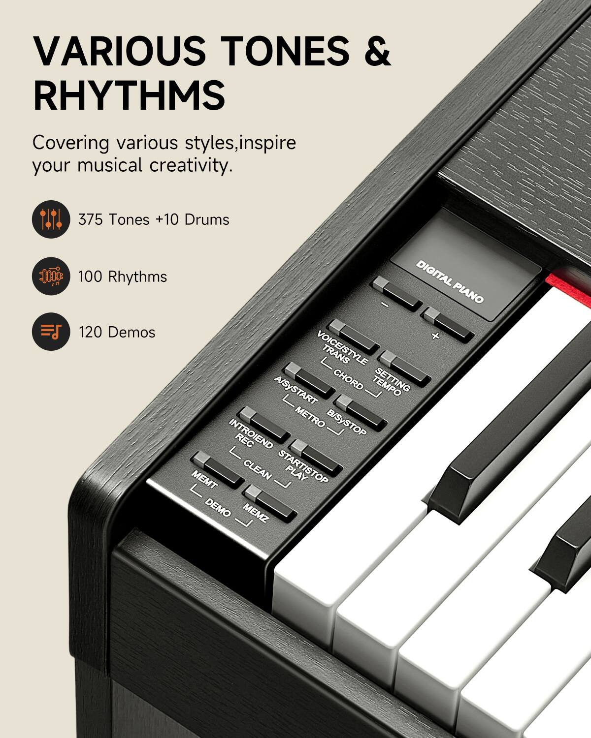 VARIOUS TONES & RHYTHMS  
Covering various styles, inspire your musical creativity.  

375 Tones +10 Drums  
100 Rhythms  
120 Demos  

DIGITAL PIANO  

VOICE/STYLE TRANS  
CHORD  
TEMPO  
METRO  
INTRO/END  
REC  
PLAY  
MEMZ  
CLEAN  
START/STOP  
B/SySTOP  
INTRO/END  
REC  
PLAY  
MEMZ