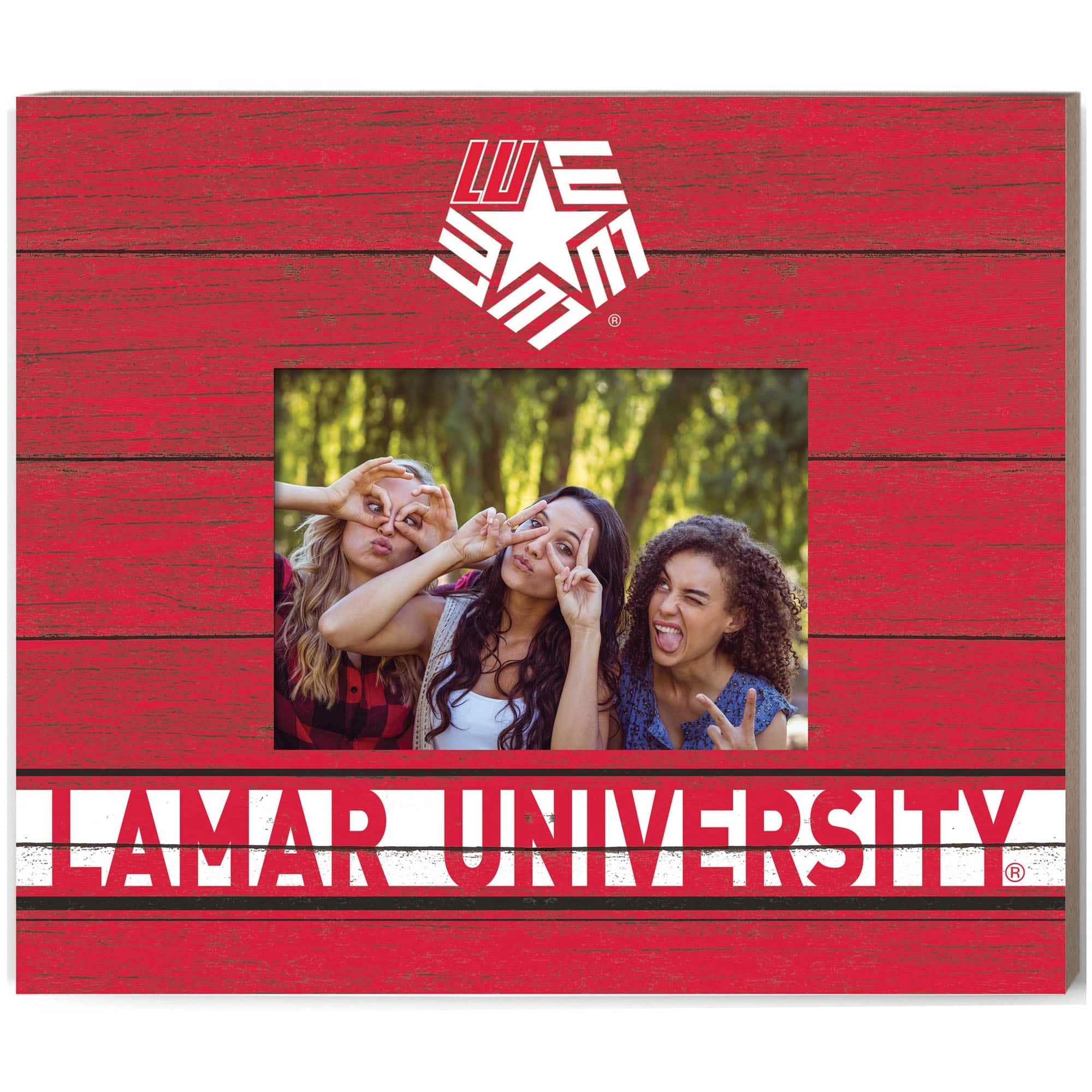 Jardine - Lamar Cardinals 11'' x 13'' Team Spirit Scholastic Picture Frame - Red price history on PriceWatchPro