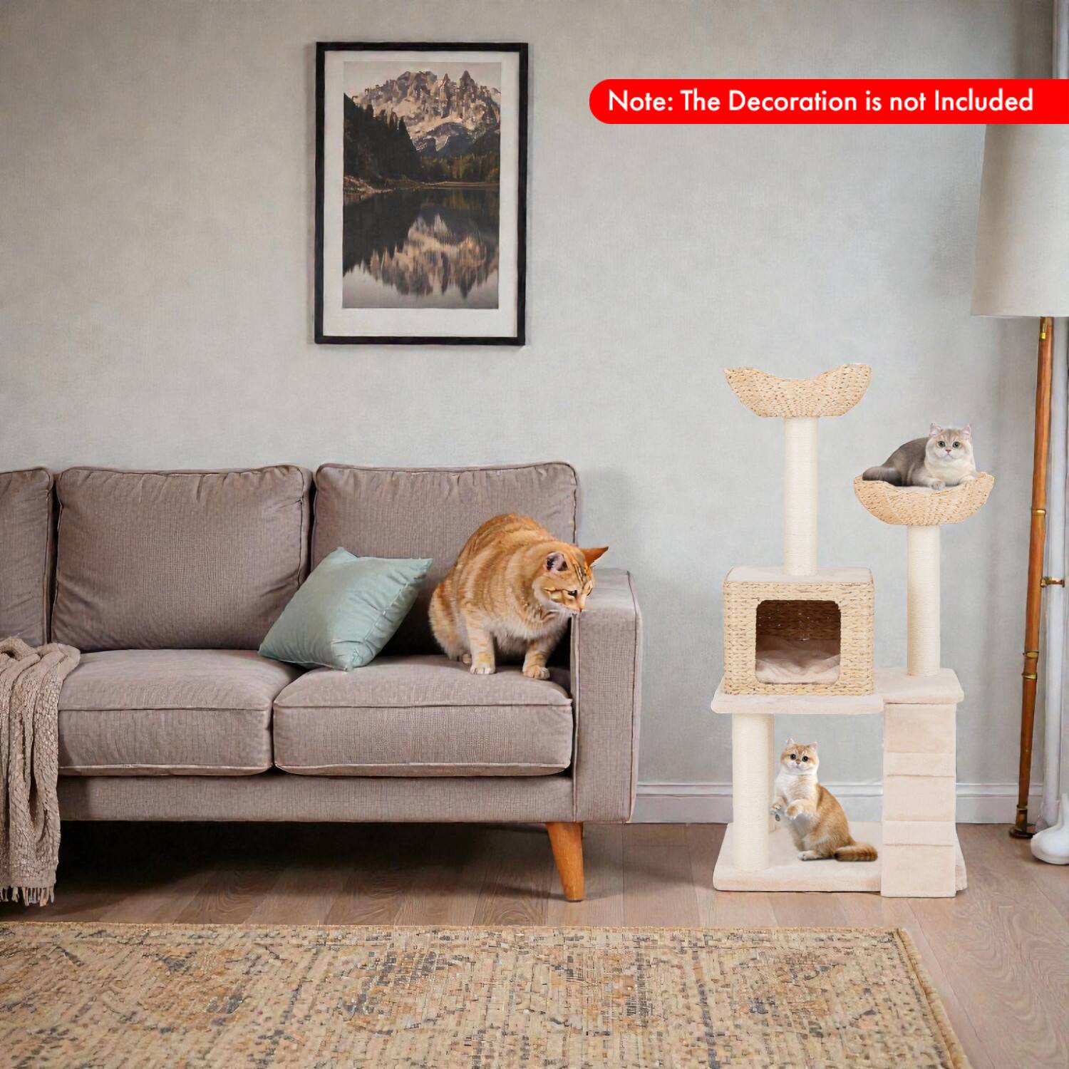 Note: The Decoration is not Included