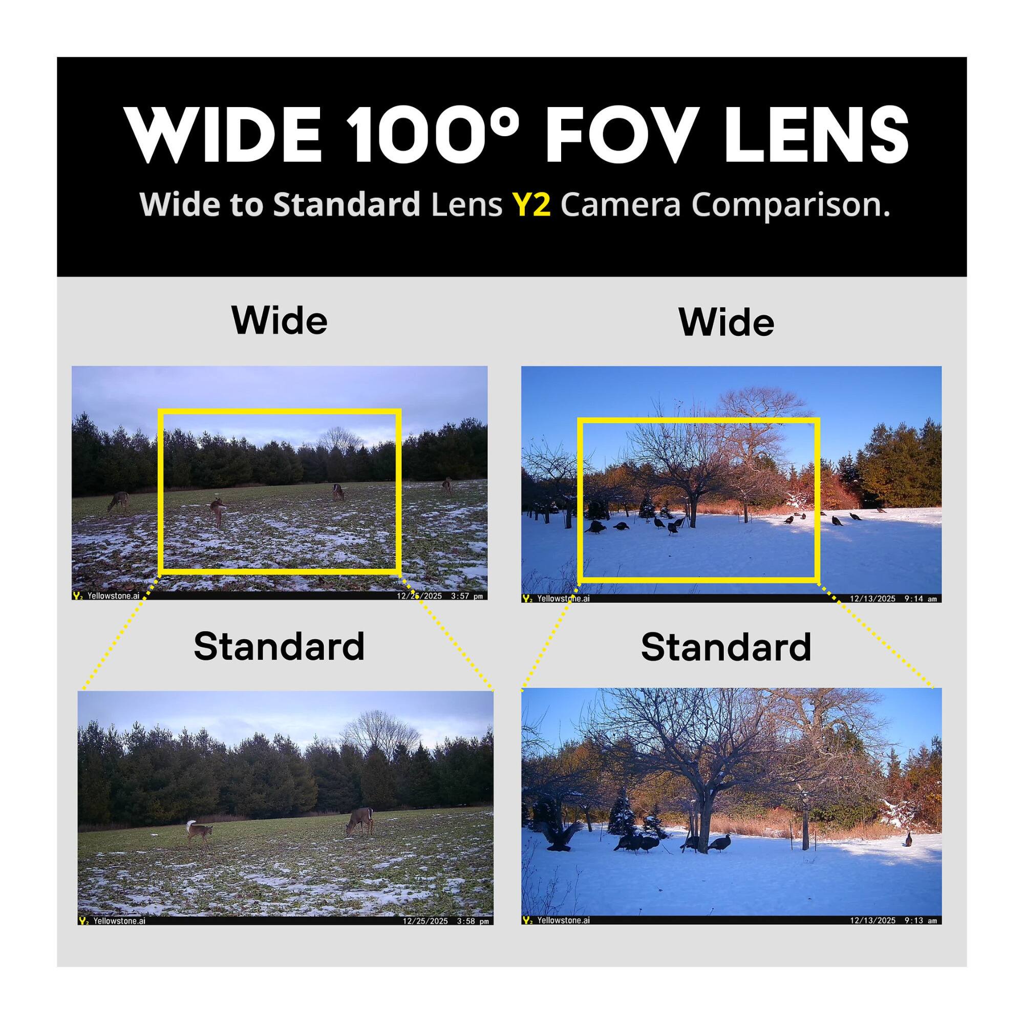 WIDE 100° FOV LENS  
Wide to Standard Lens Y2 Camera Comparison.

Wide  
Yellowstone.ai  
12/25/2025 3:07 pm

Standard  
Yellowstone.ai  
12/25/2025 3:08 pm

Wide  
Yellowstone.ai  
12/13/2025 9:14 am

Standard  
Yellowstone.ai  
12/13/2025 9:13 am