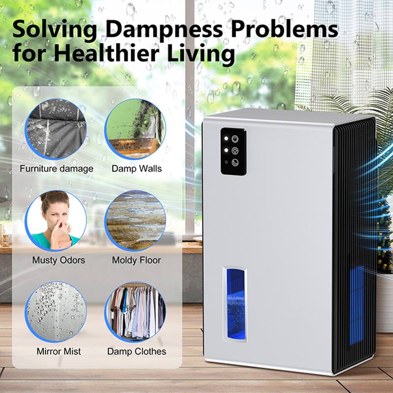 Solving Dampness Problems for Healthier Living

- Furniture damage
- Damp Walls
- Musty Odors
- Moldy Floor
- Mirror Mist
- Damp Clothes