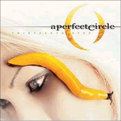 aperfeetcirele  
THIRTEENTH STEP