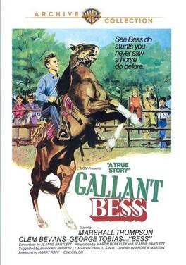 Gallant Bess - DVD