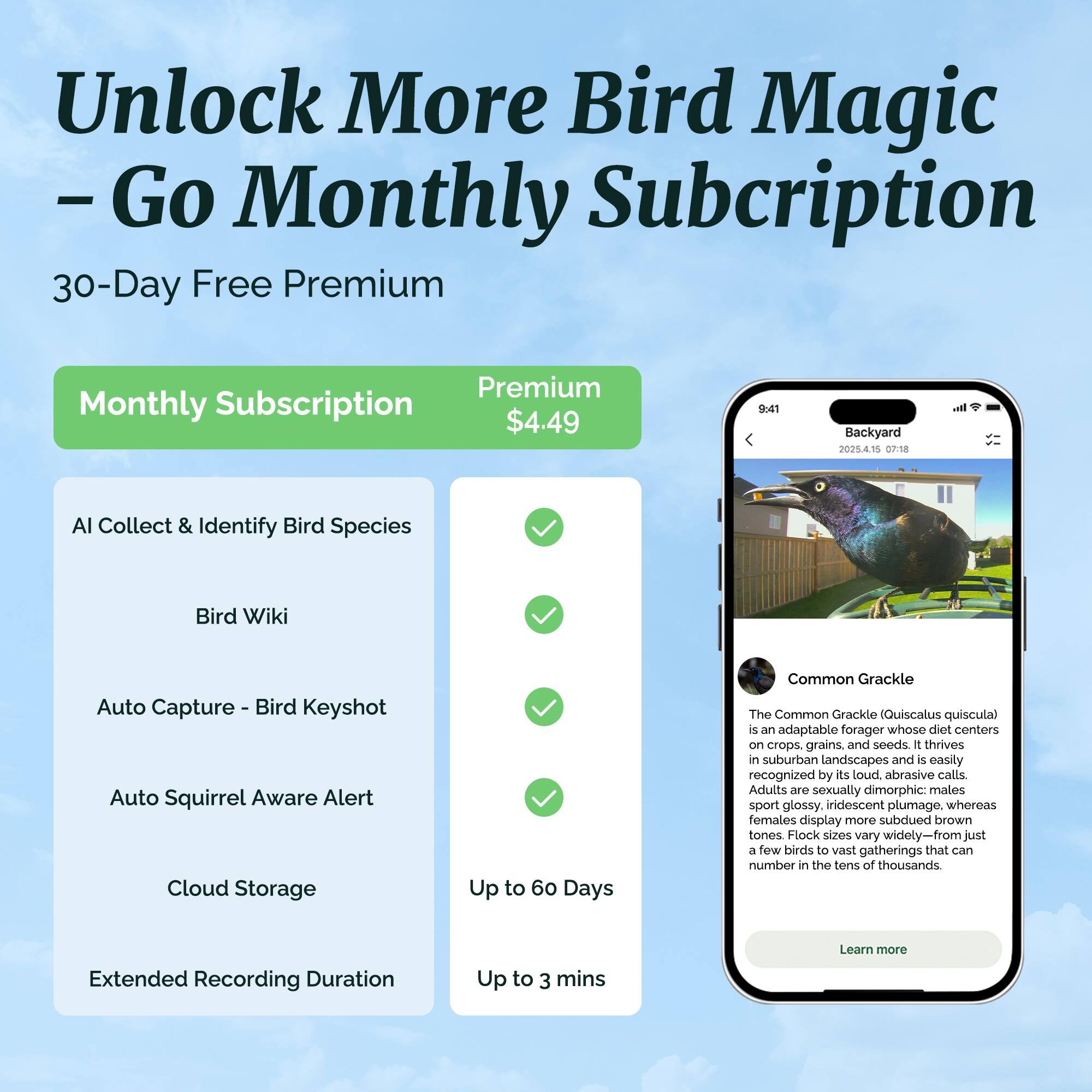 Unlock More Bird Magic  
- Go Monthly Subscription  

30-Day Free Premium  

Monthly Subscription  
$4.49  

AI Collect & Identify Bird Species  
Bird Wiki  
Auto Capture - Bird Keyshot  
Auto Squirrel Aware Alert  
Cloud Storage  
Extended Recording Duration  

Up to 60 Days  
Up to 3 mins  

Common Grackle  
The Common Grackle (Quiscalus quiscula) is an adaptable forager whose diet centers on crops, grains, and seeds. It thrives in suburban landscapes and is easily recognized by its loud, abrasive calls. Adults are sexually dimorphic: males sport glossy, iridescent plumage, whereas females display more subdued brown tones. Flock sizes vary widely—from just a few birds to vast gatherings that can number in the tens of thousands.  

Learn more