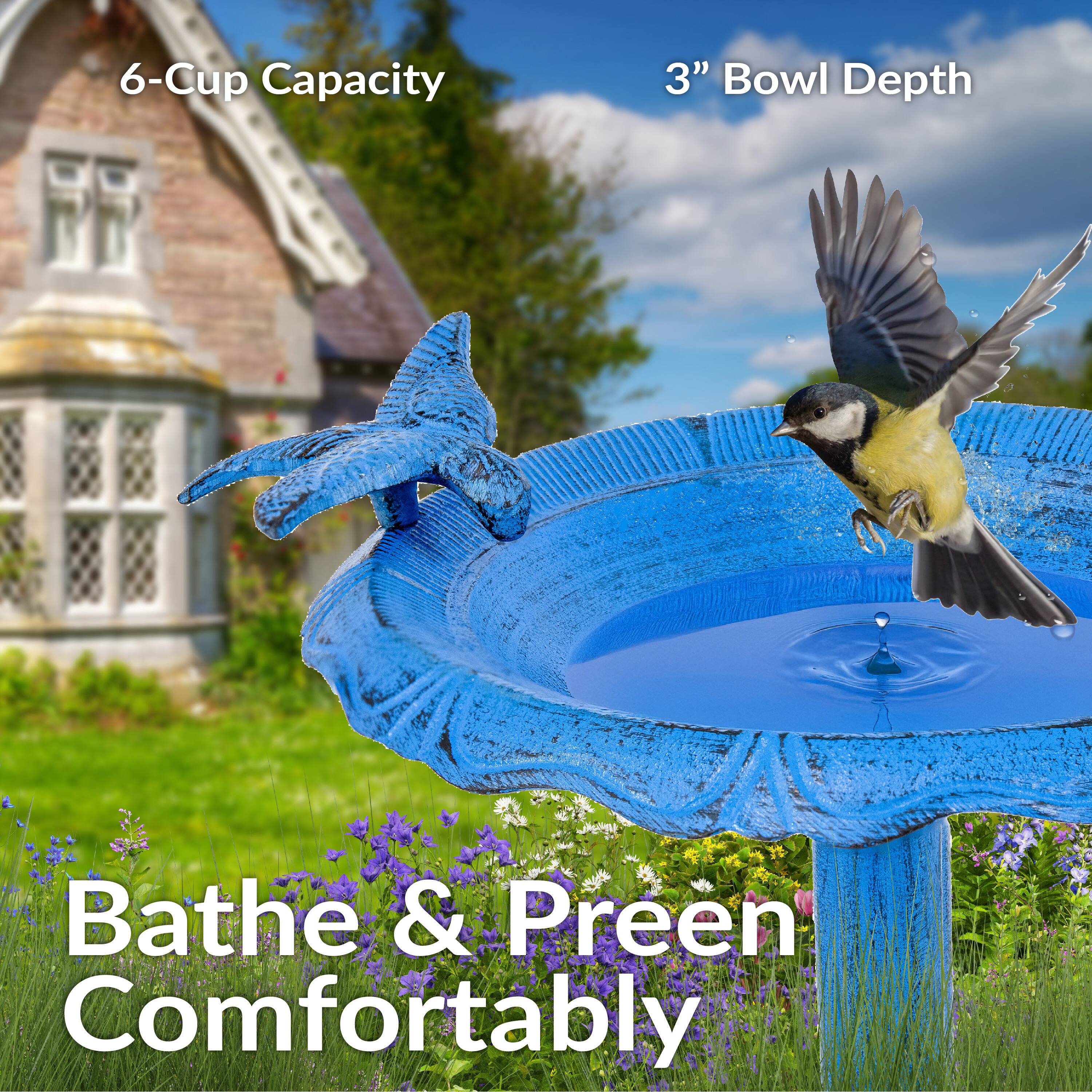 6-Cup Capacity  
3" Bowl Depth  
Bathe & Preen Comfortably