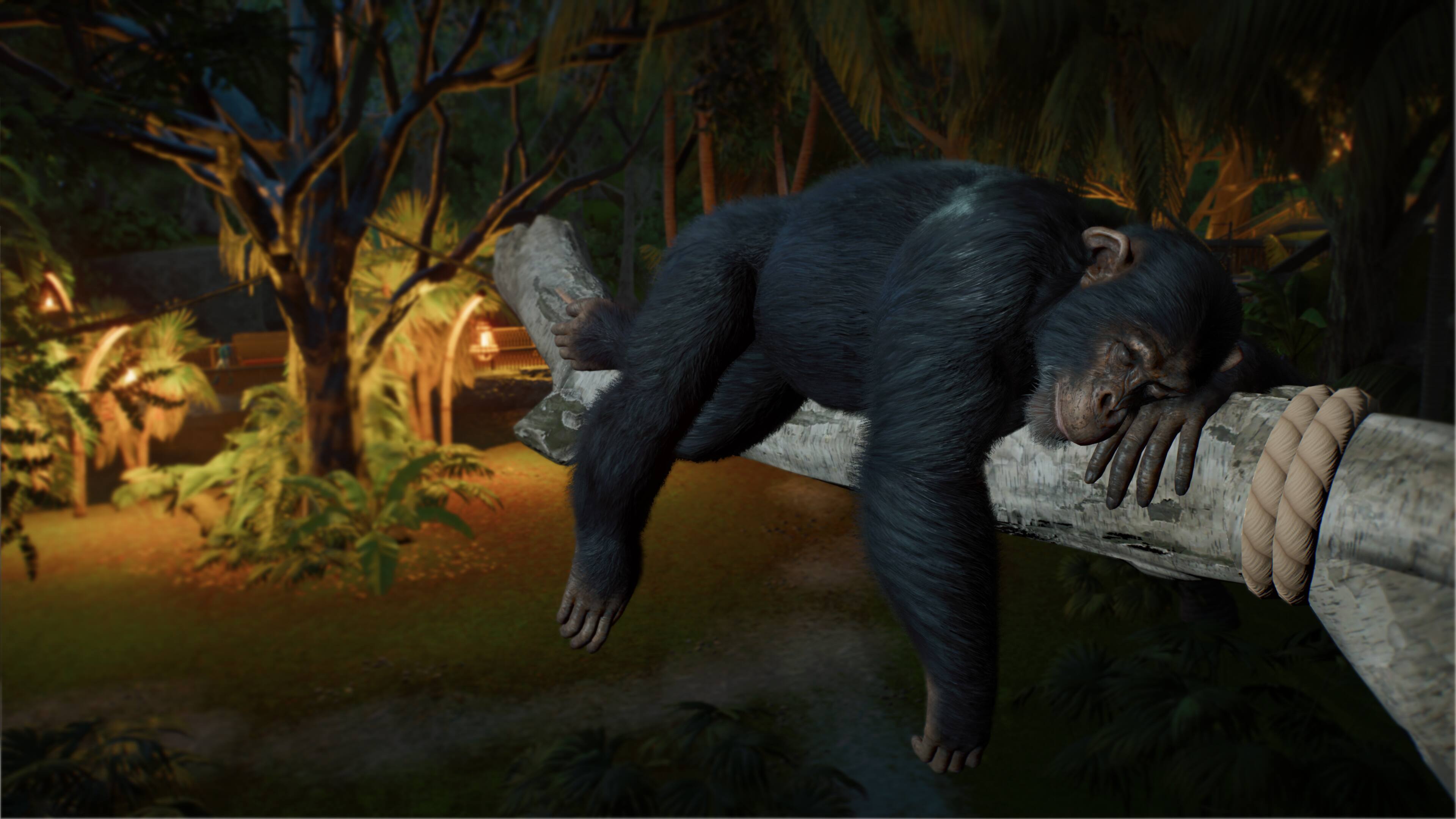 Alt View 8. Fireshine Games - Planet Zoo 2.