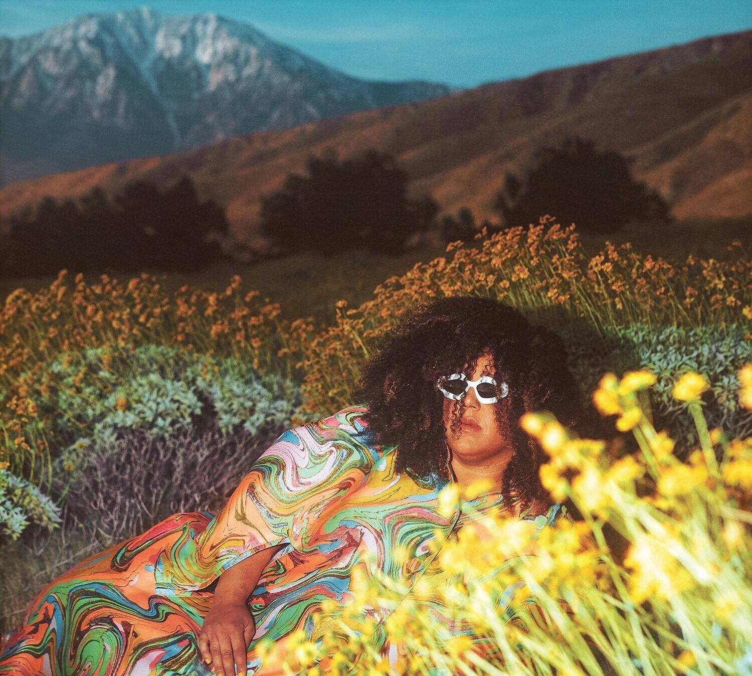 Alt View 1. Brittany Howard - What Now   - VINYL LP.