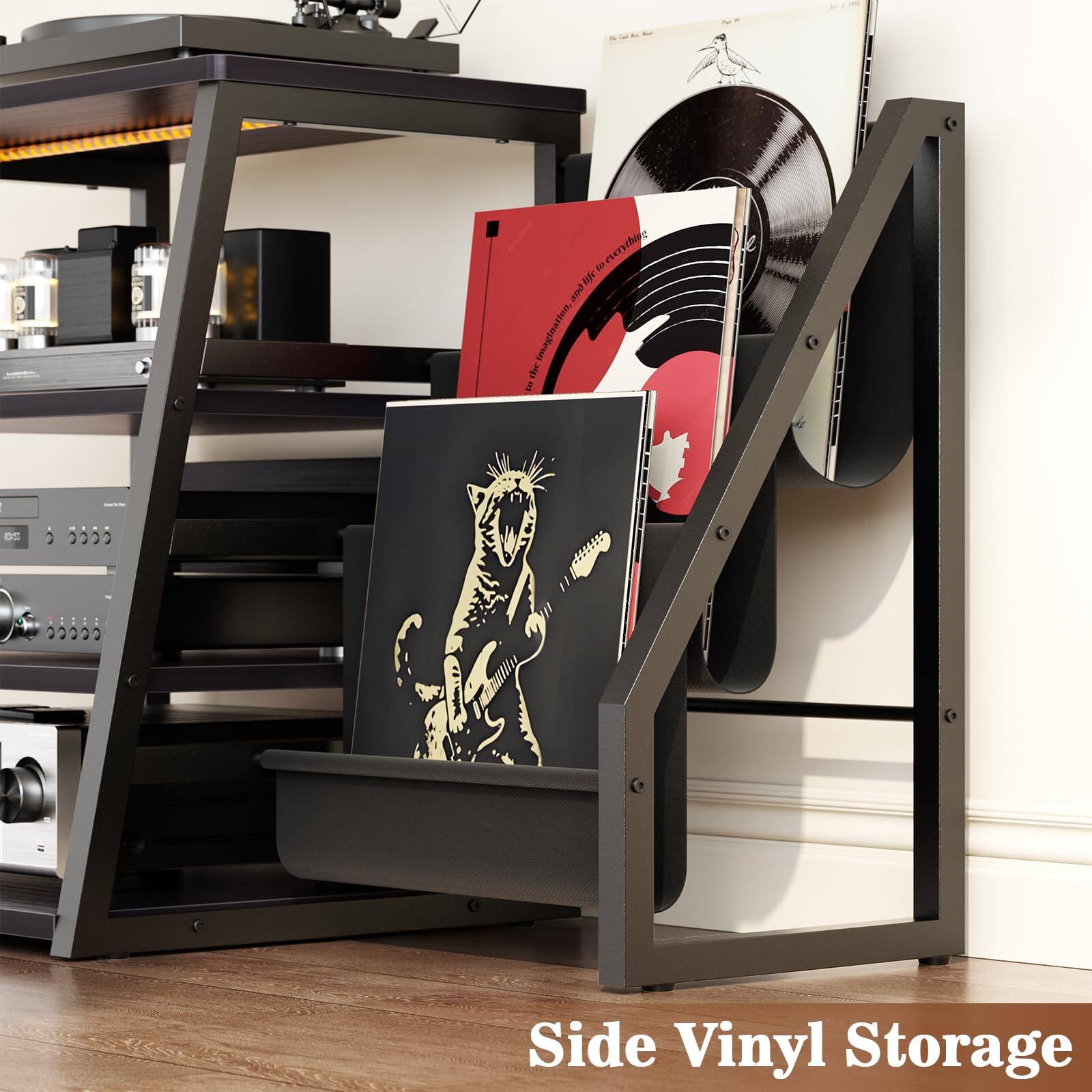 Side Vinyl Storage