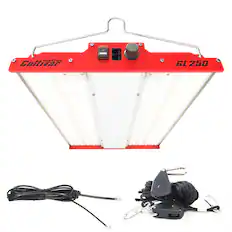 PHANTOM Cultivar
GL 250