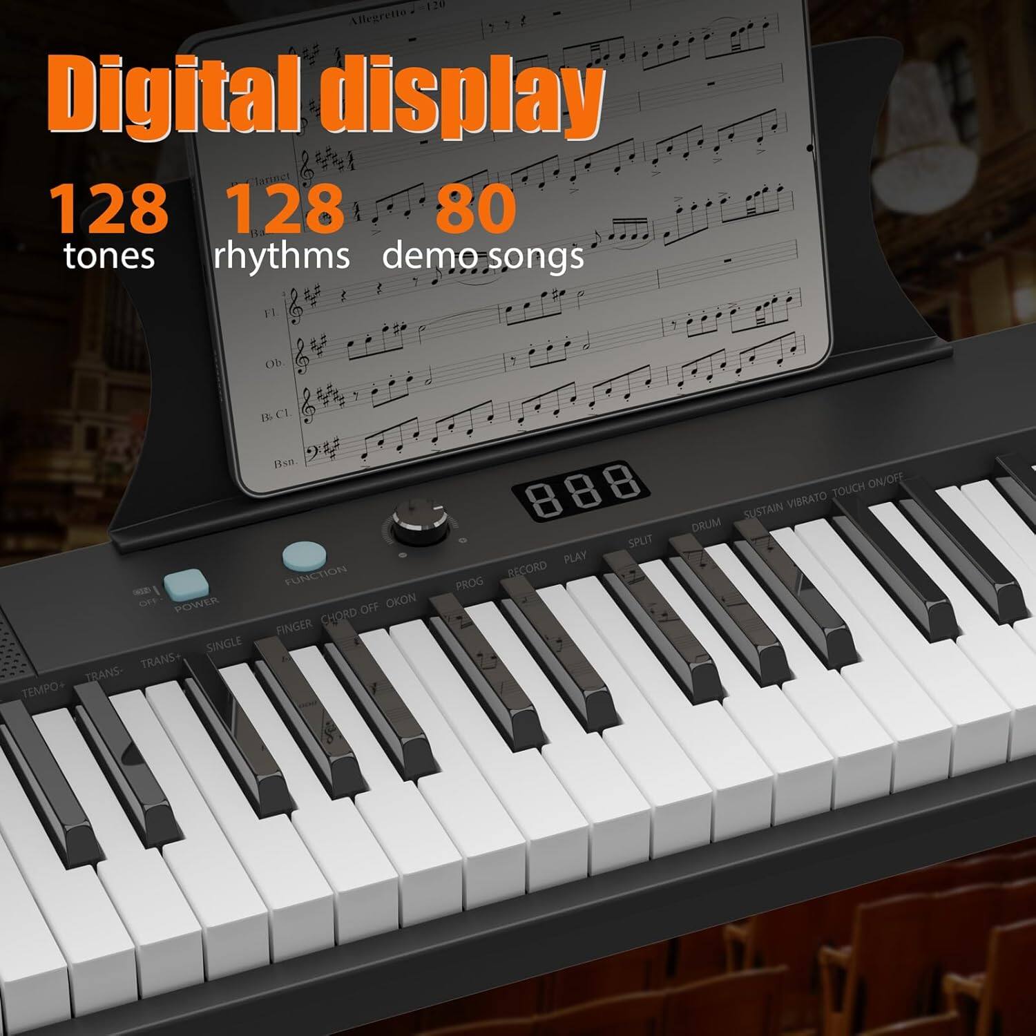 Digital display  
128 tones  
128 rhythms  
80 demo songs