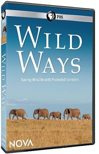 Nova: Wild Ways  - DVD