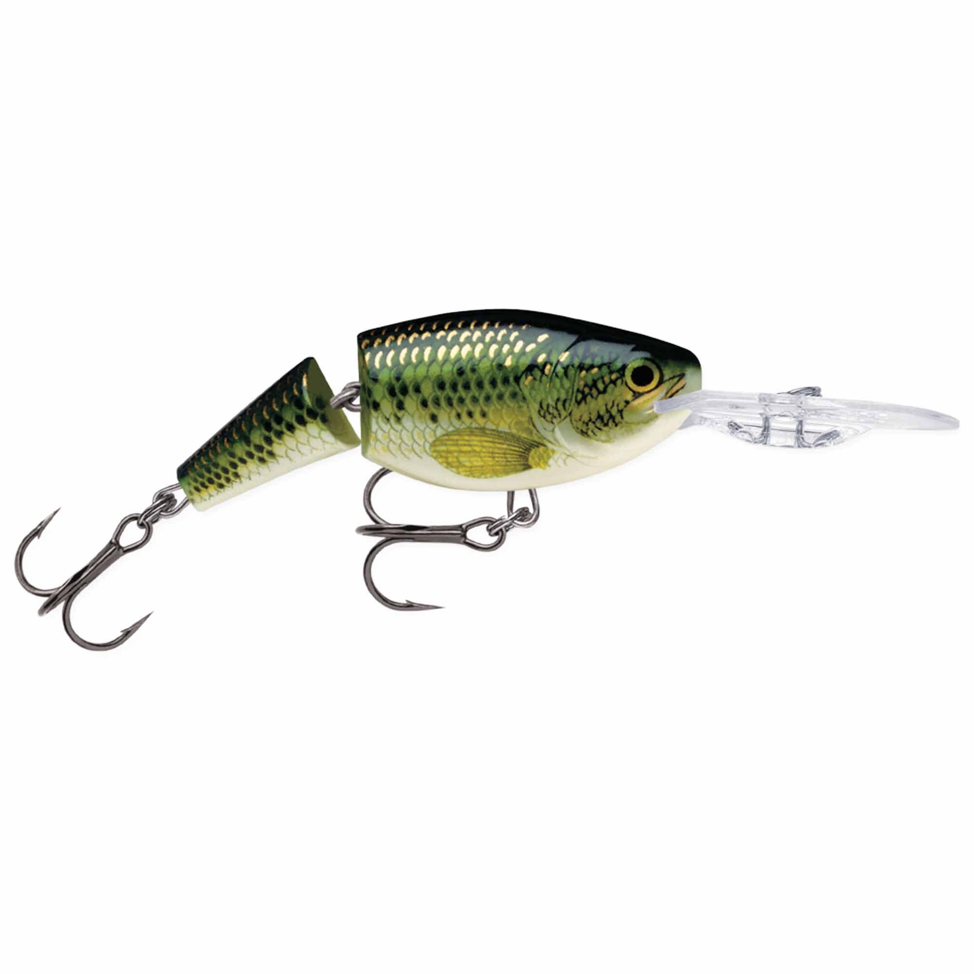 Baby Bass