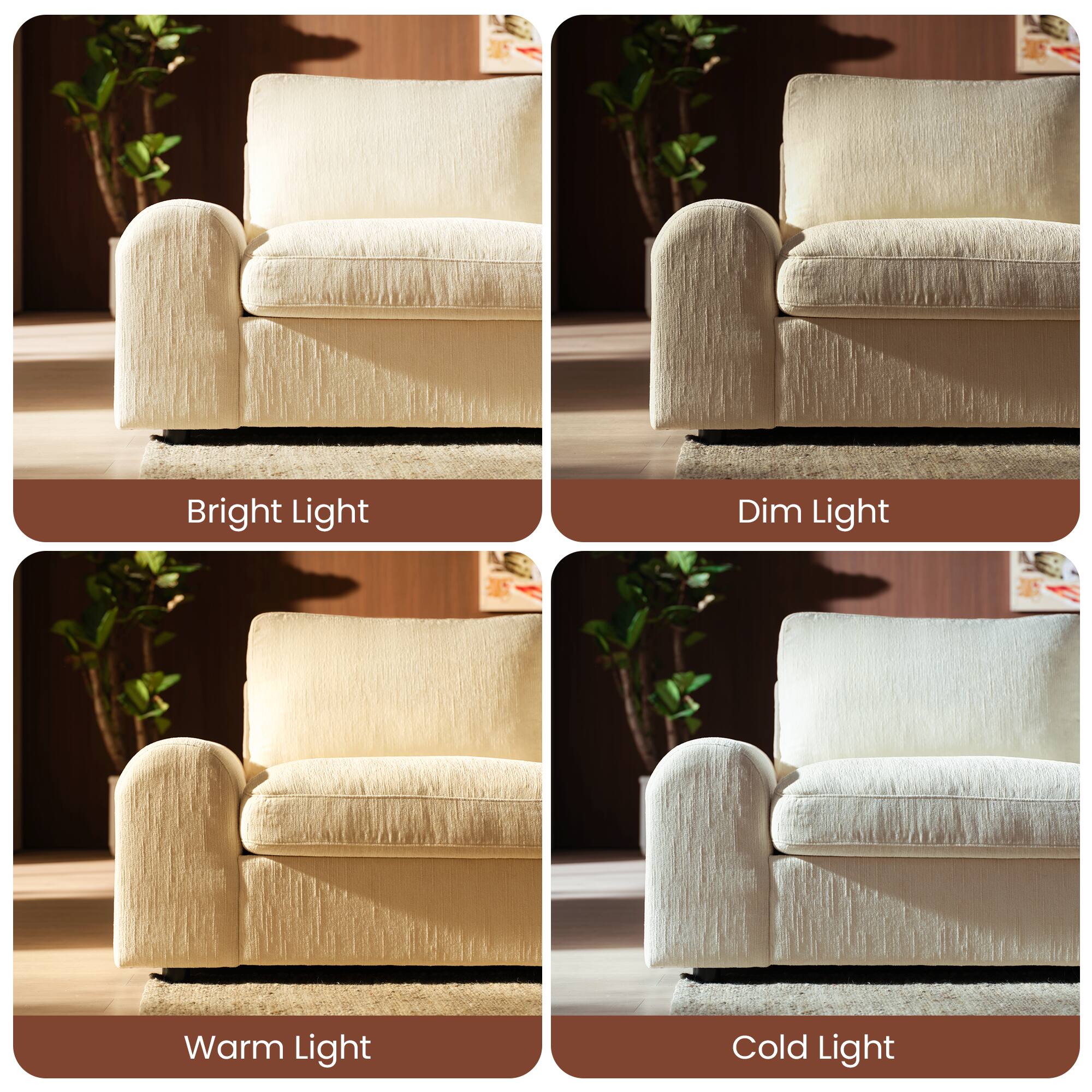 Bright Light  
Dim Light  
Warm Light  
Cold Light
