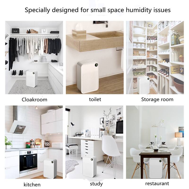 Specially designed for small space humidity issues

- Cloakroom
- Toilet
- Storage room
- Kitchen
- Study
- Restaurant