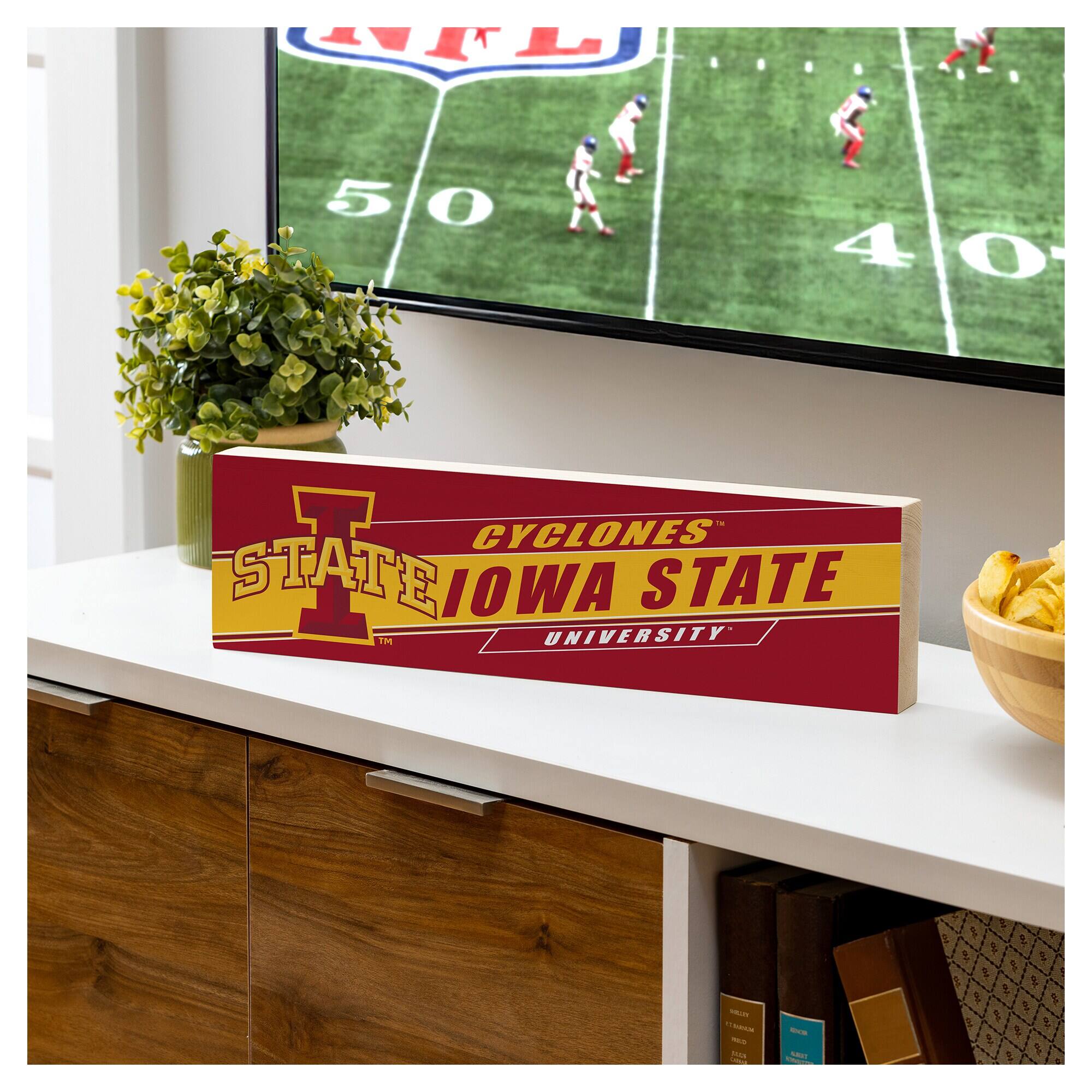 CYCLONES  
IOWA STATE UNIVERSITY
