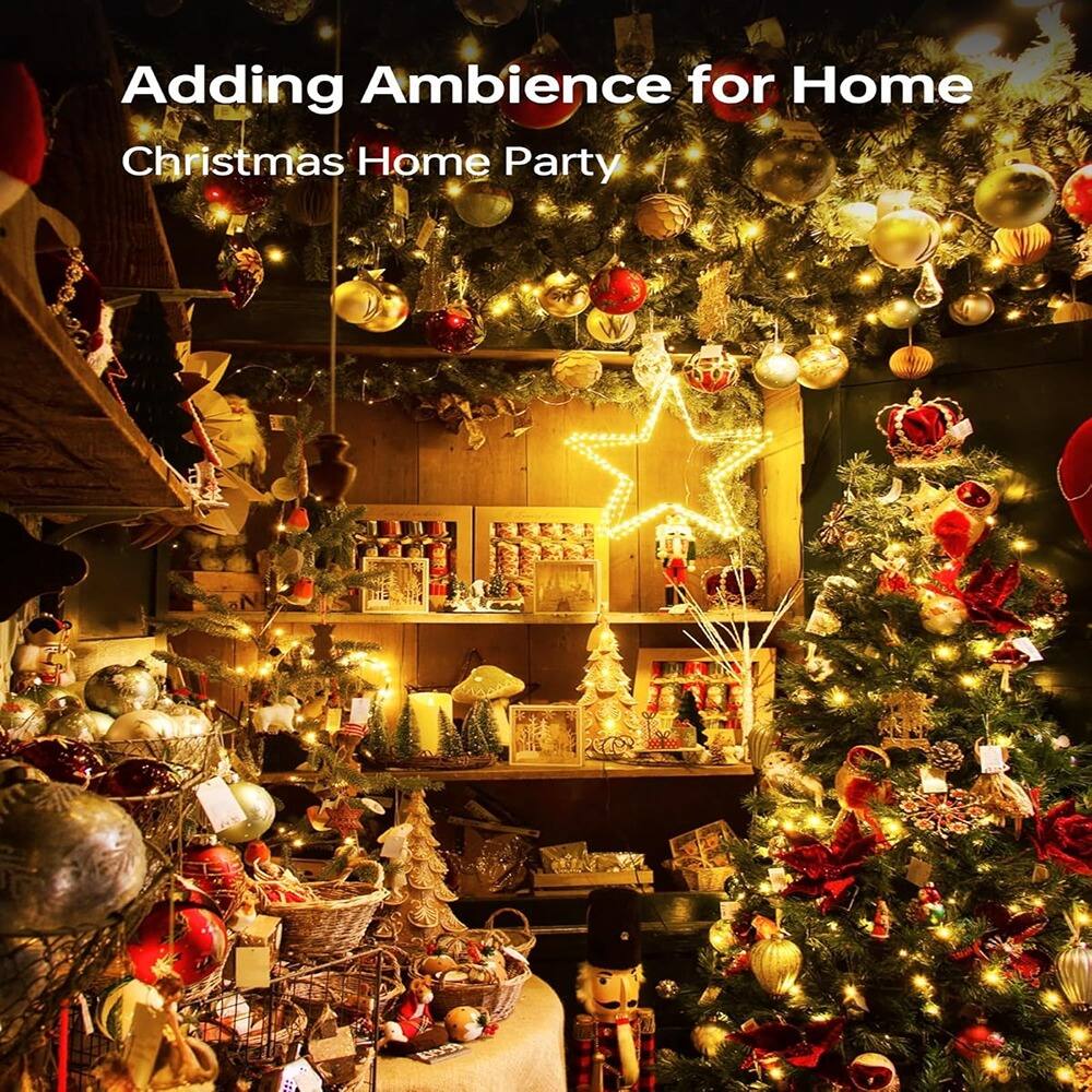Adding Ambience for Home  
Christmas Home Party