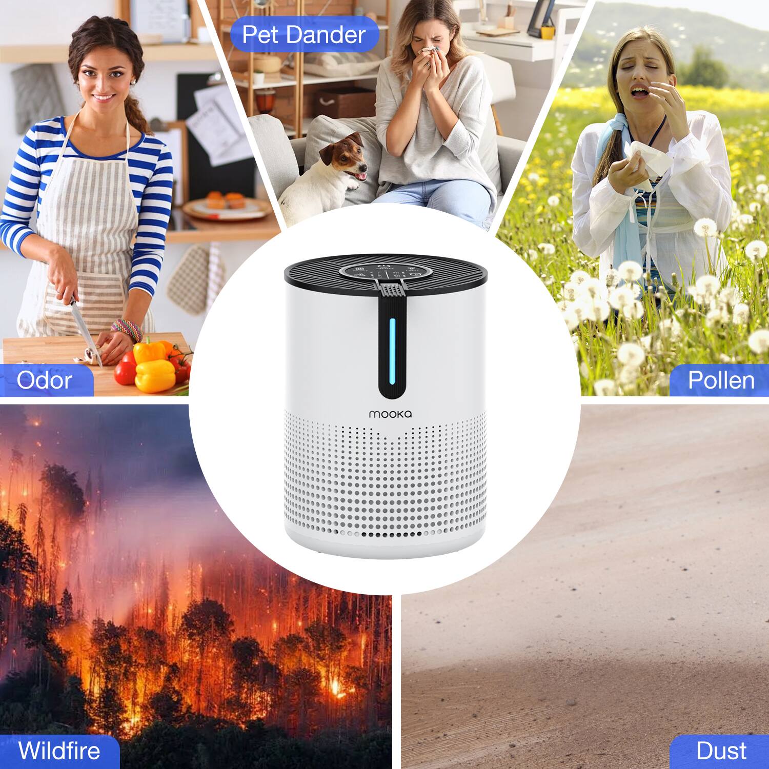 Pet Dander  
Odor  
Pollen  
Wildfire  
Dust