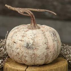 Angle. BreeBe - *White Birch Pumpkin 6" - White Birch.