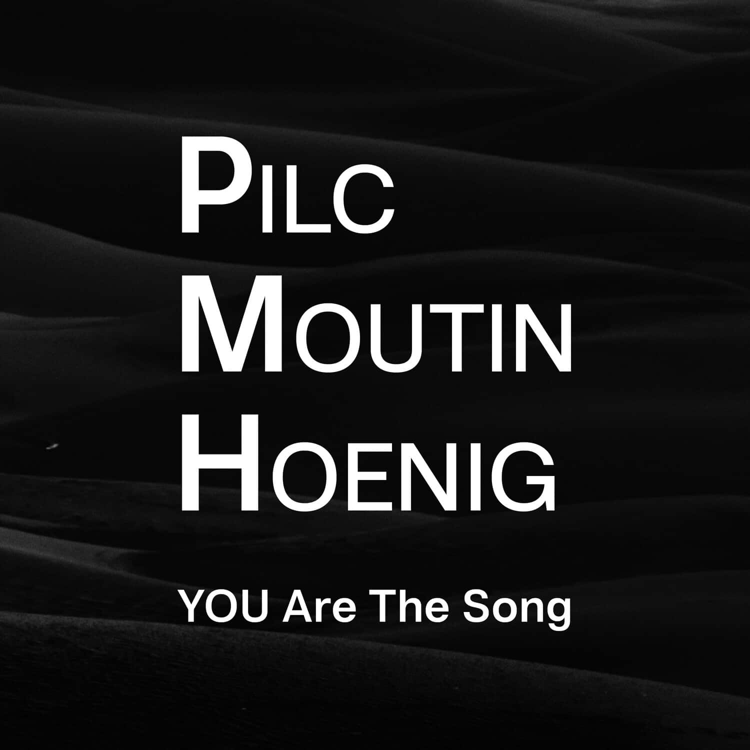 Pilc Moutin Hoenig - You Are the Song   - COMPACT DISCS [CD] price history on PriceWatchPro