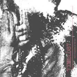 Timelost - Don't Remember Me For This - VINYL LP