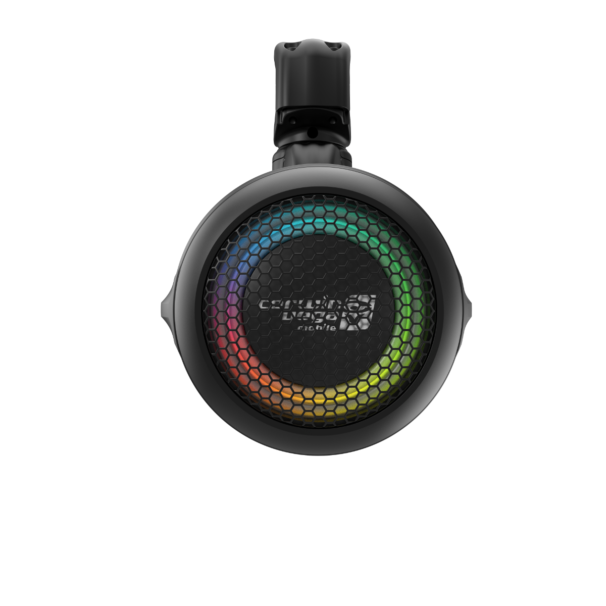 The text on the image reads:

"CEATIN
LACO
cithite
techle"