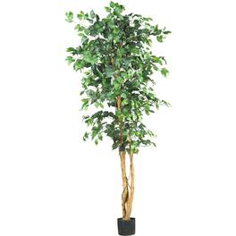 BreeBe - 6' Ficus Tree x 3 w/1008 Lvs - Green