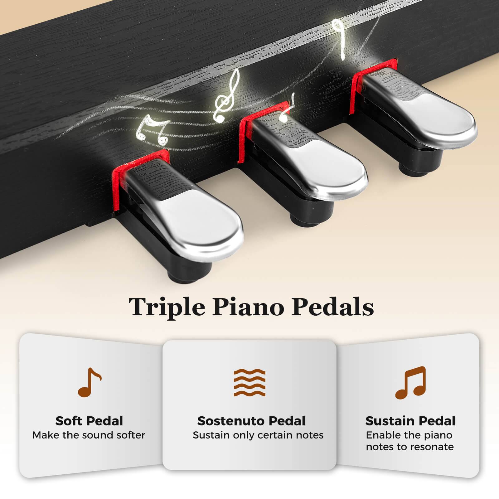 Triple Piano Pedals

- Soft Pedal
  - Make the sound softer

- Sostenuto Pedal
  - Sustain only certain notes

- Sustain Pedal
  - Enable the piano notes to resonate
