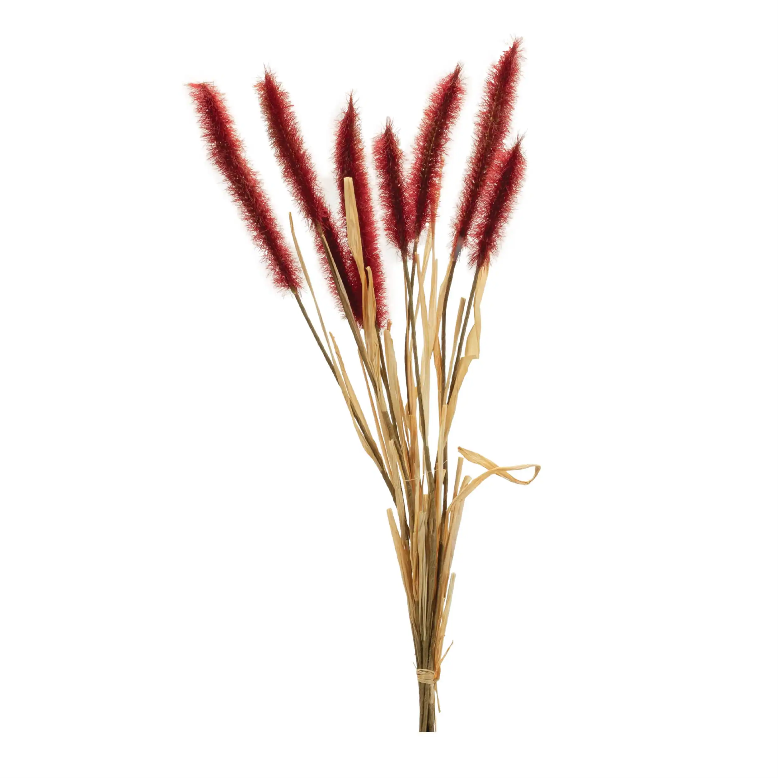 Front. BreeBe - Fall Foxtail Grass Bundle (Set of 6) - Red.