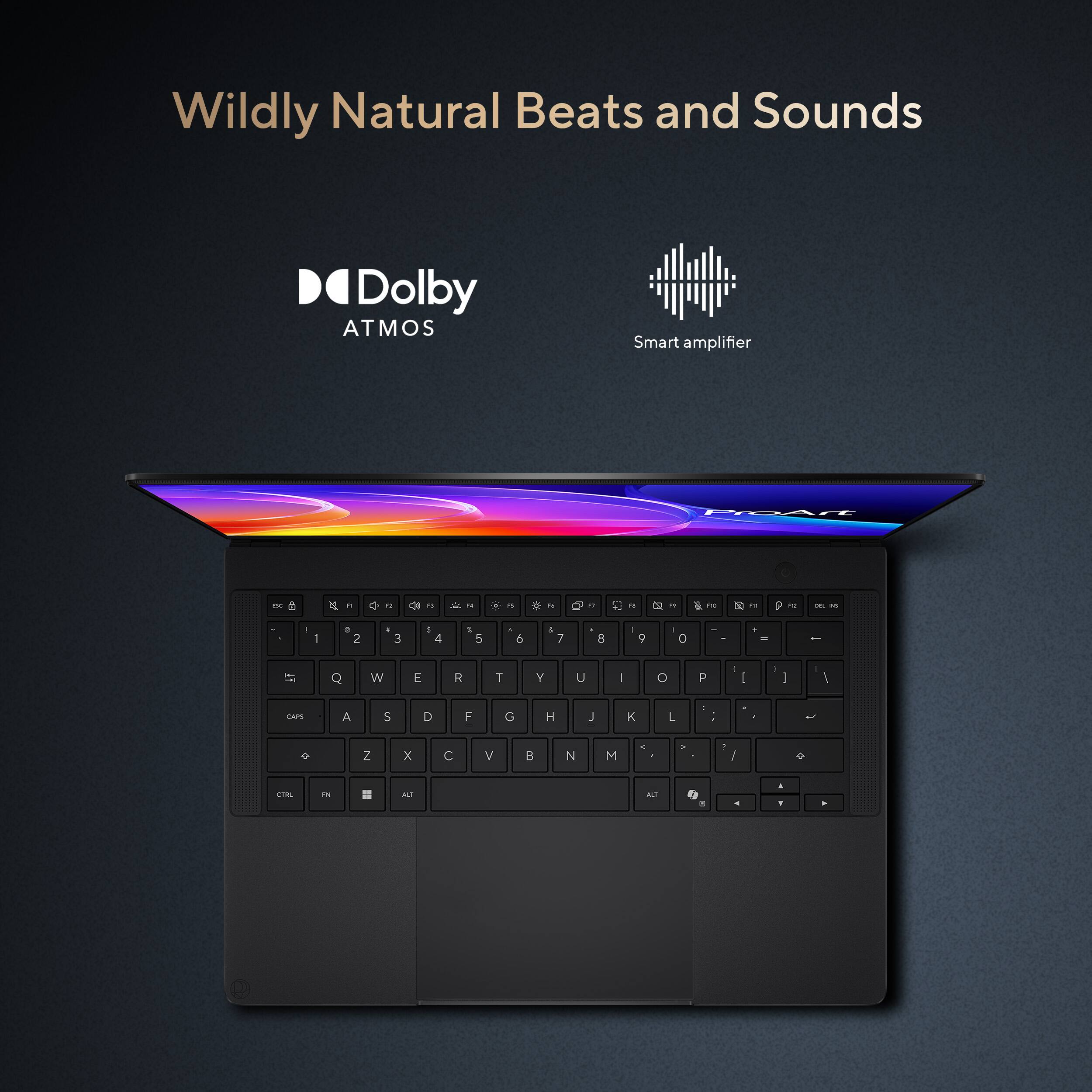 Wildly Natural Beats and Sounds

Dolby ATMOS
Smart amplifier