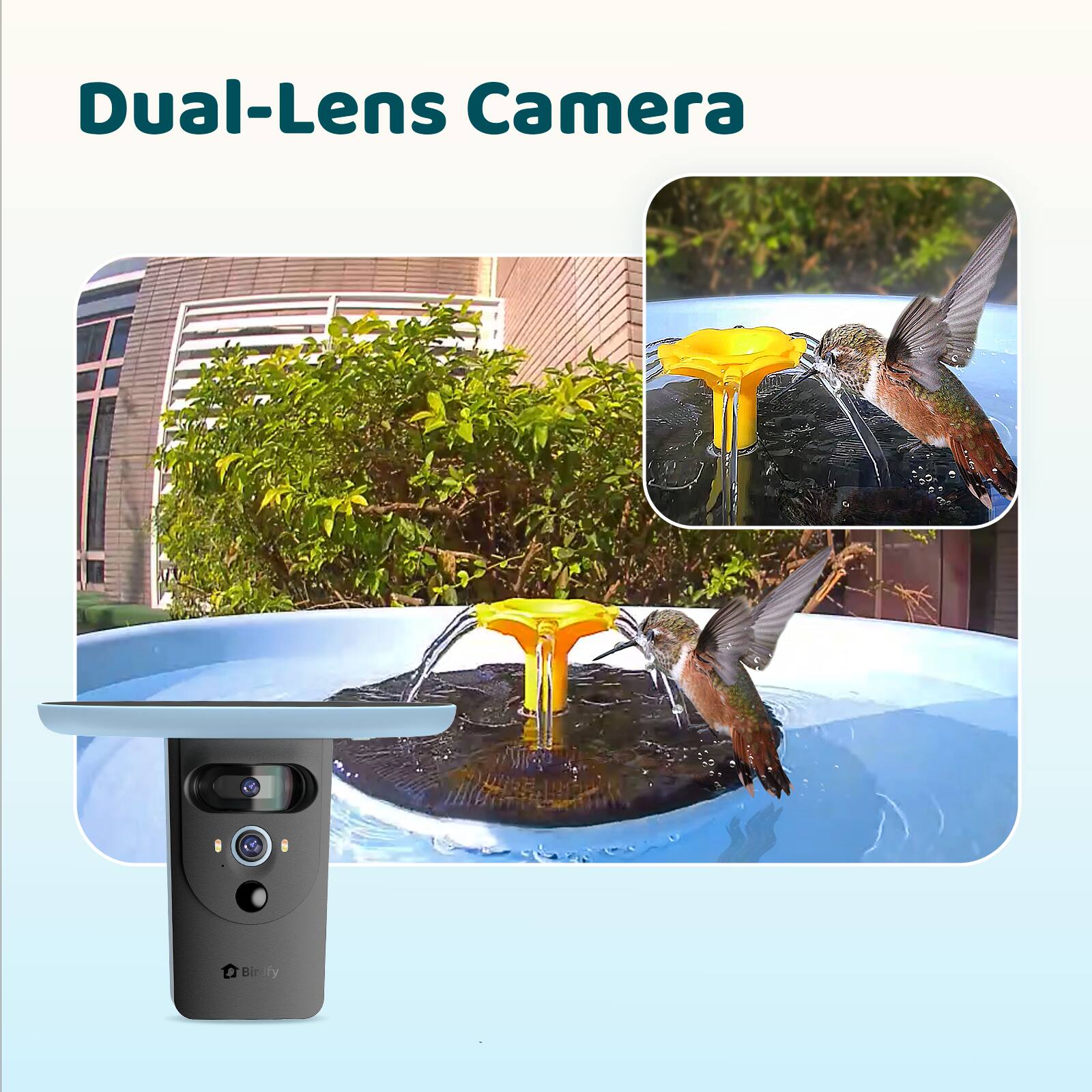 Dual-Lens Camera: Birds Bathing