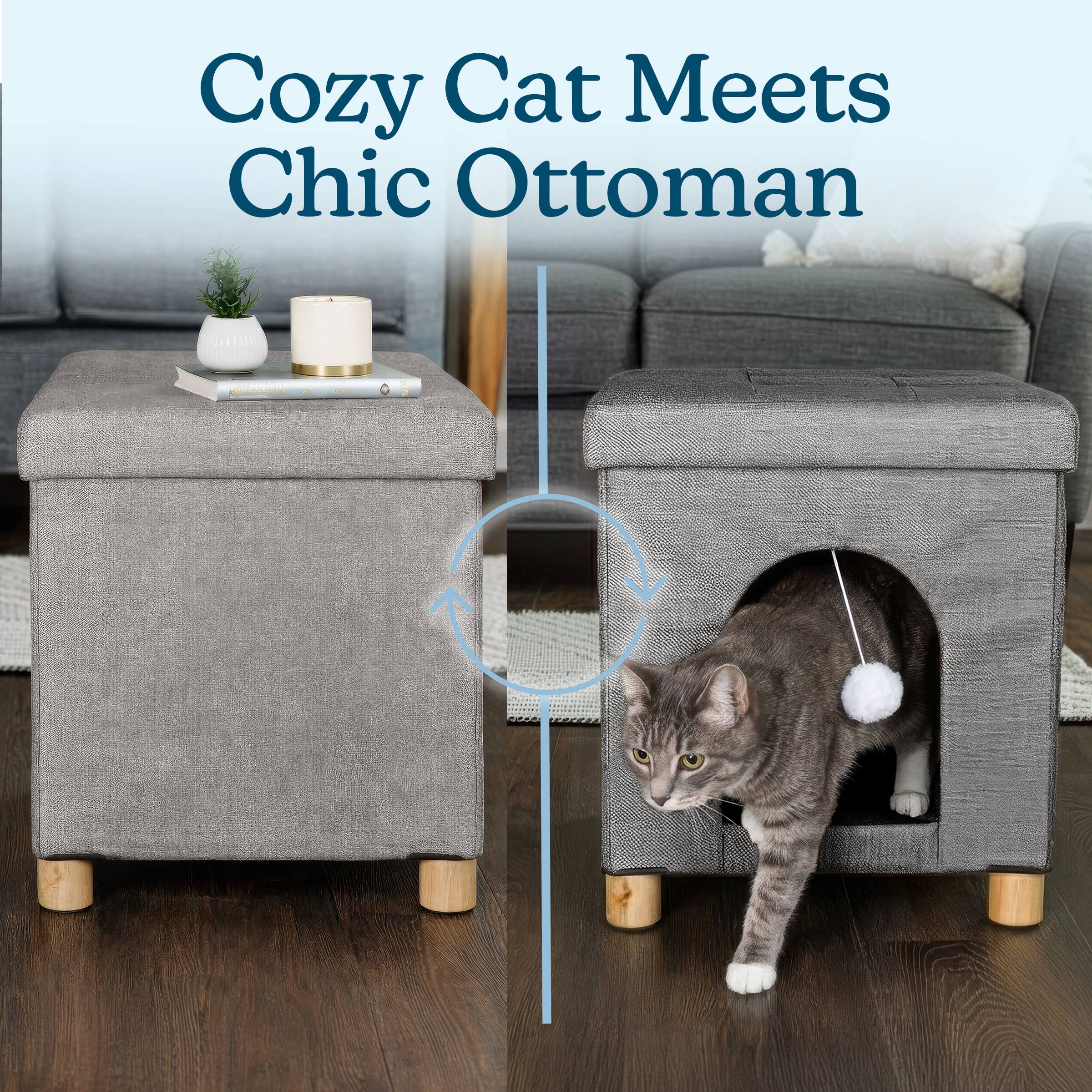 Cozy Cat Meets Chic Ottoman