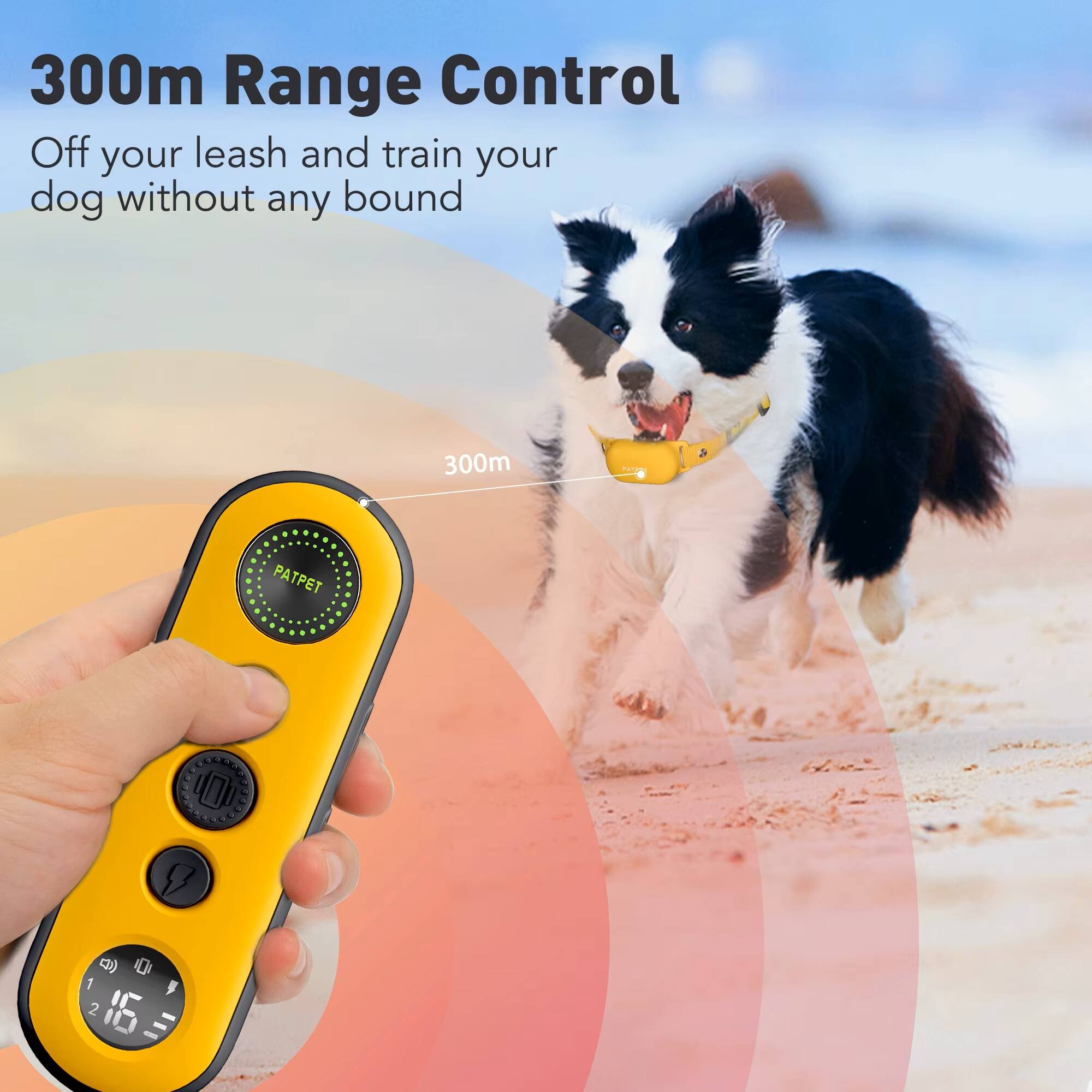 300m Range Control  
Off your leash and train your dog without any bound