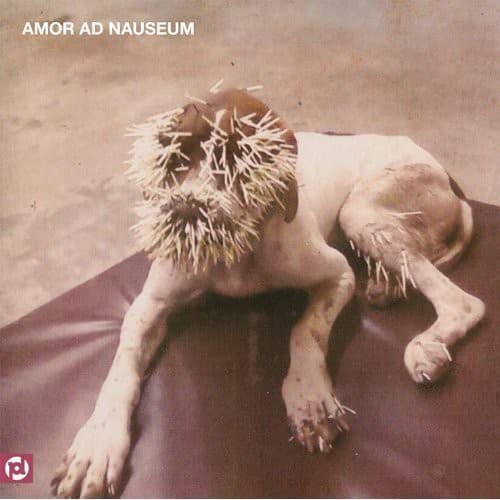 Amor Ad Nauseum - Amor Ad Nauseum   - COMPACT DISCS [CD]