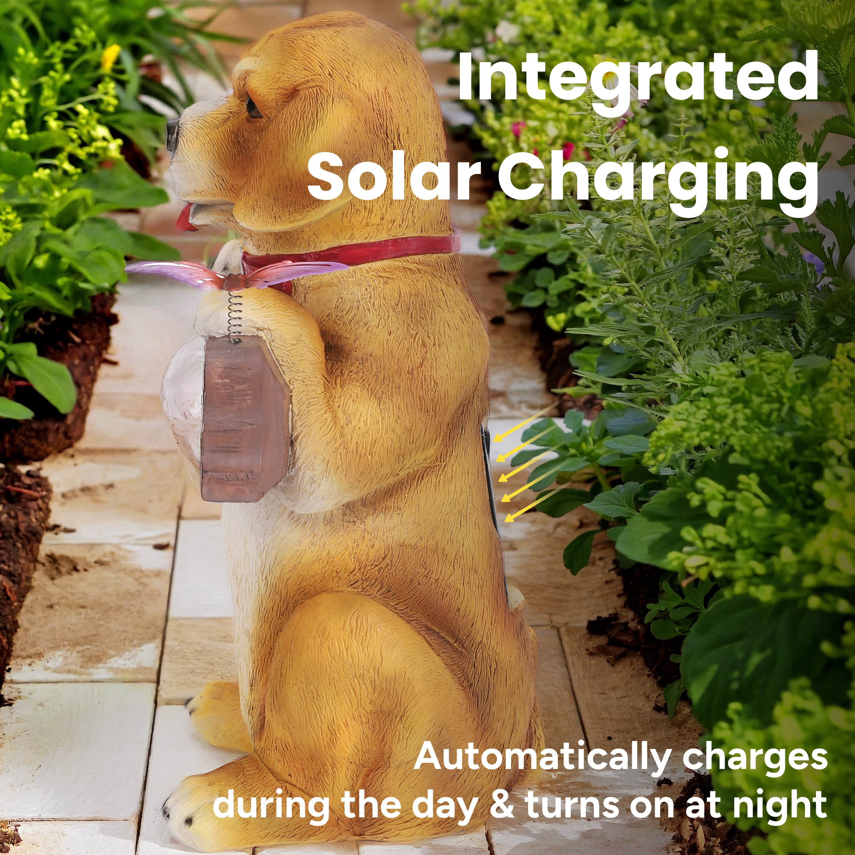 Integrated Solar Charging  
Automatically charges during the day & turns on at night