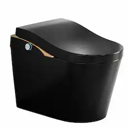 RYHNUYNE - One Piece Tankless Smart Toilet With Bidet, Auto Flush Auto Open and Close Heated Seat Warm Water and Dry Foam Shield - Black