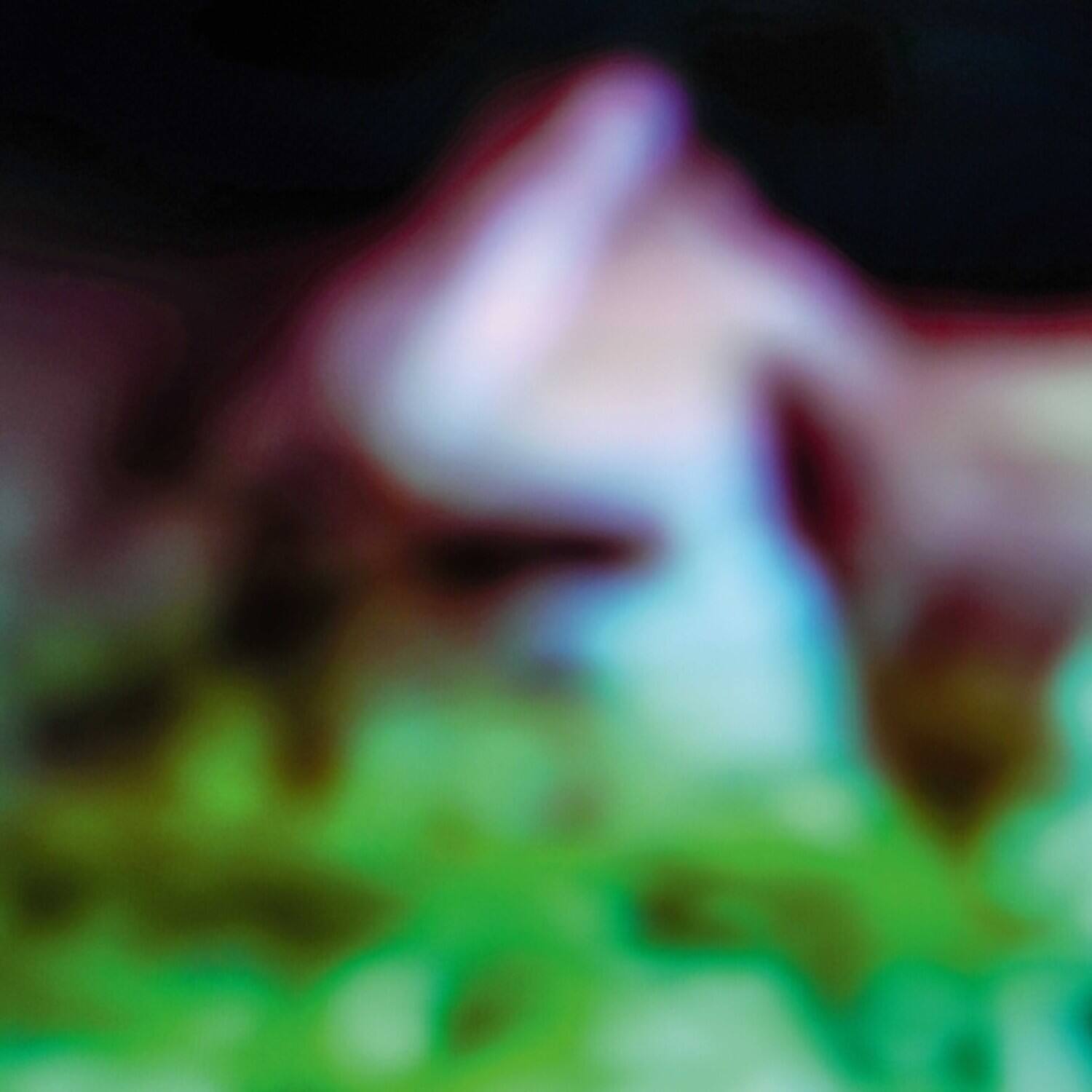 Hair & Treasure - Disc Rot  - VINYL LP