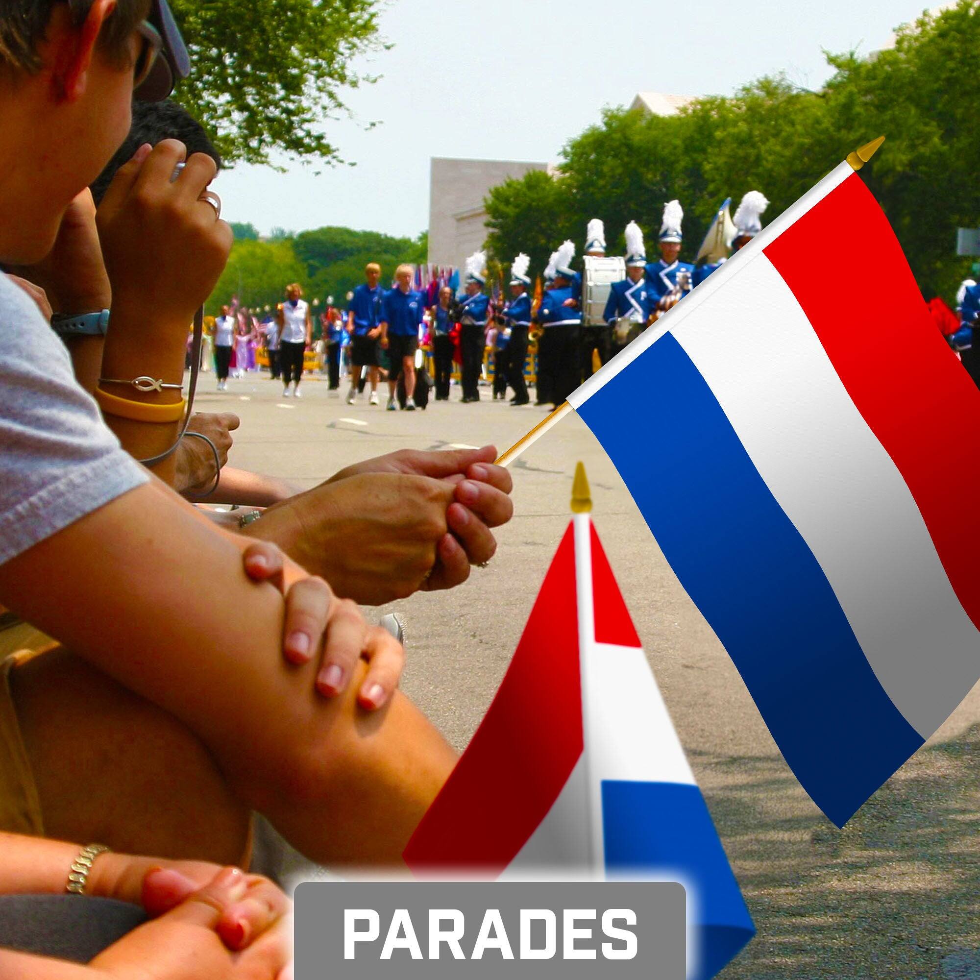 Alt View 1. G128 - 12-Pack Netherlands Handheld Stick Flags 8" x 12" Printed 150D Polyester Wooden Stick with Gold Spear - Assorted Colors.