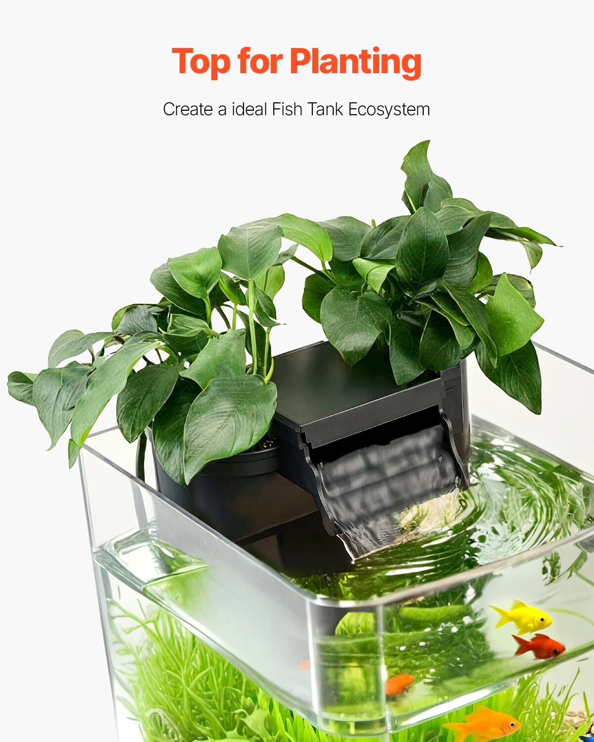 Top for Planting  
Create an ideal Fish Tank Ecosystem