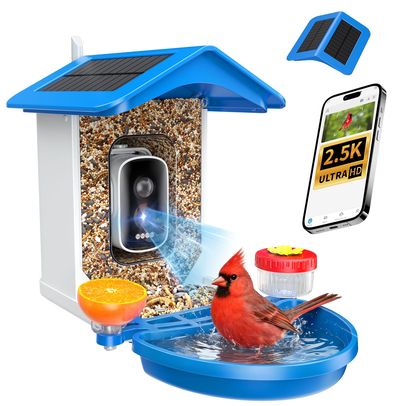 isYoung - Smart Bird Feeder with Camera 2.5K QHD, AI Identify 16000+ Birds, Auto-Capture & Motion Detection, Waterproof - Blue