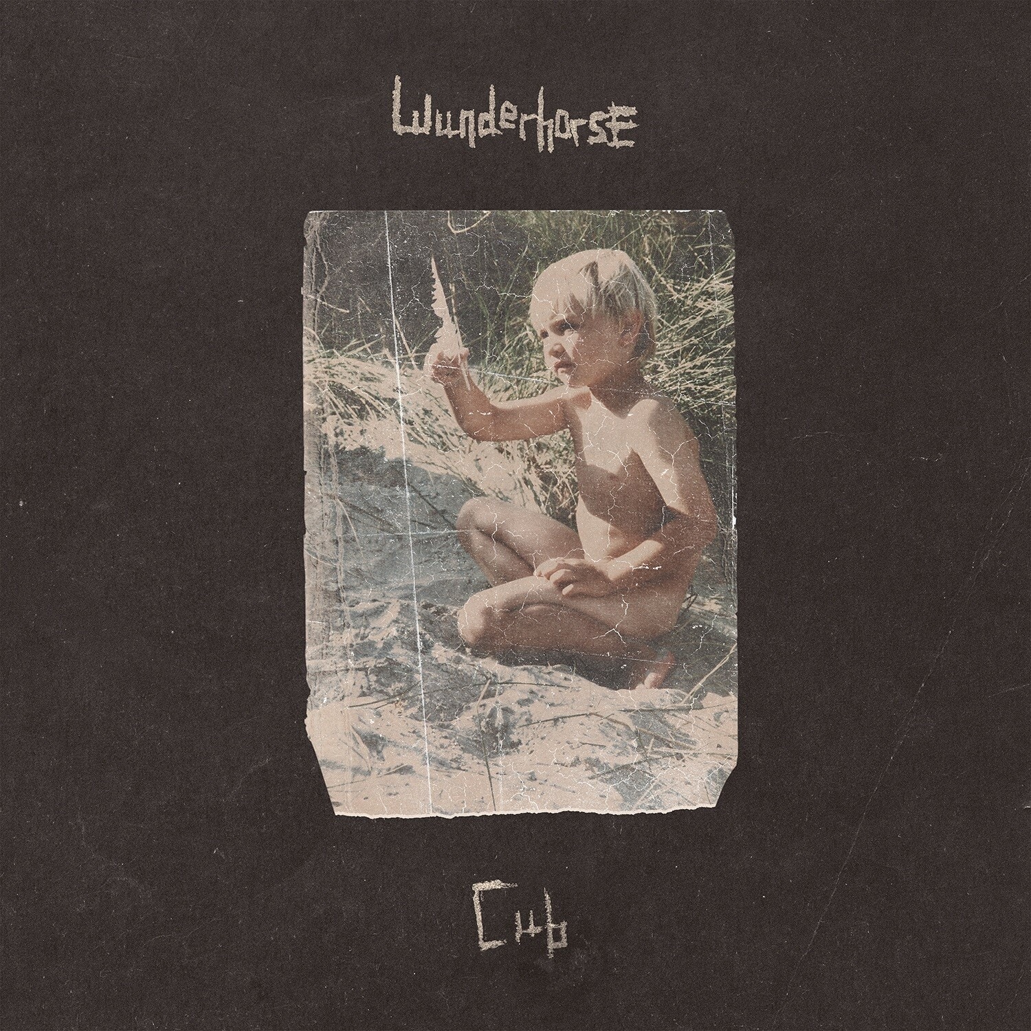 Wunderhorse - Cub   - COMPACT DISCS [CD] price history on PriceWatchPro