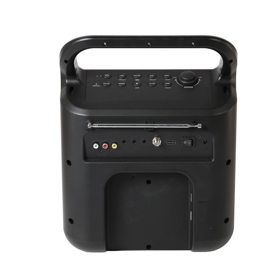 FM ANT  
VIDEO  
AUDIO  
USB IN  
MIC  
TF CARD  
USB OUT  
DC IN  
AC IN  
DC 12V  
AC 100-240V  
50/60Hz  
12V 10A  
100W  
F-MANT