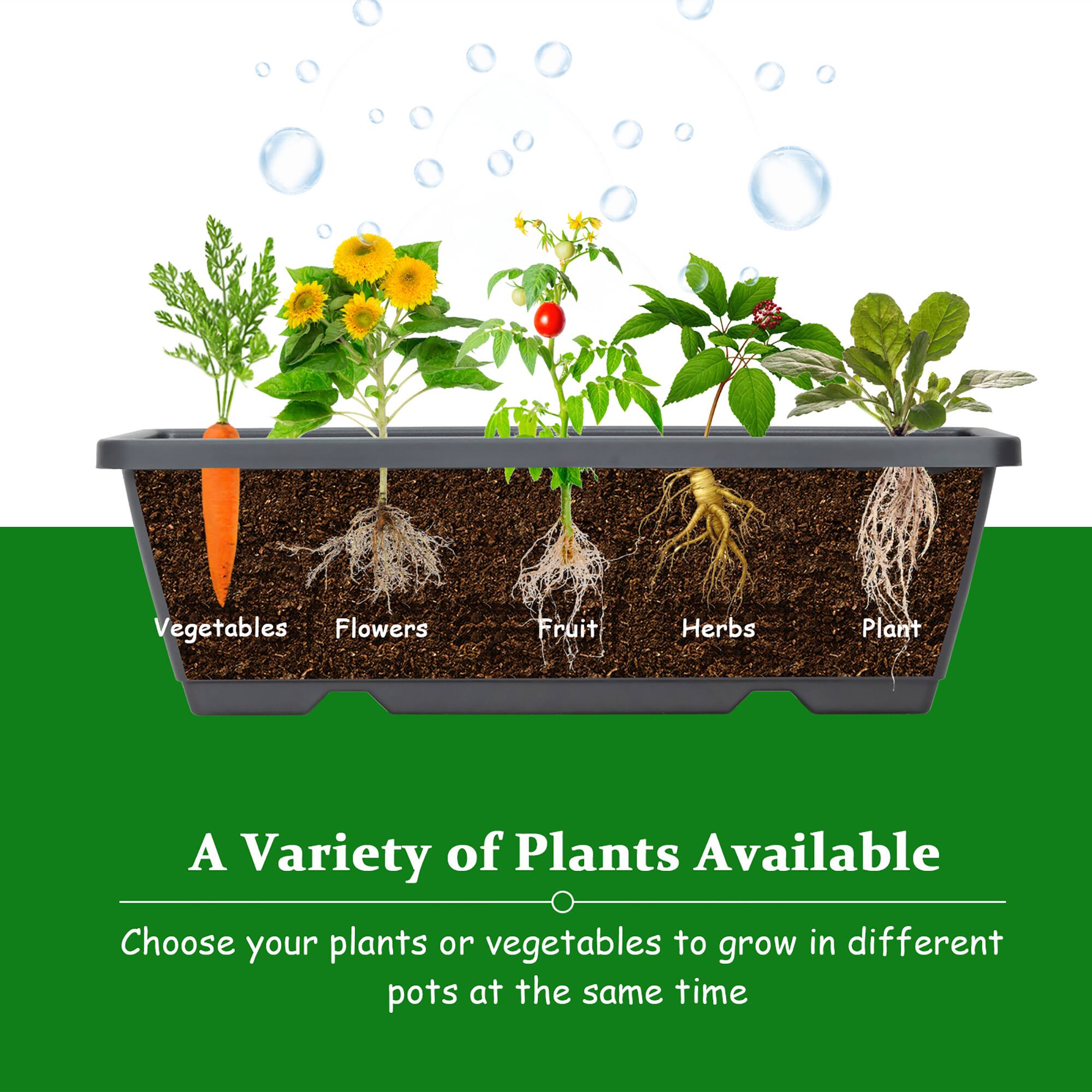 A Variety of Plants Available Choose your plants or vegetables to grow in different pots at the same time