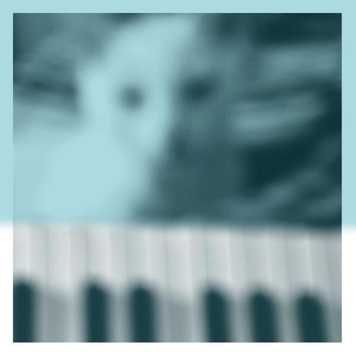 Peter Broderick - Piano Works Vol. 1 (floating In Tuckers Basement)   - COMPACT DISCS [CD] price history on PriceWatchPro