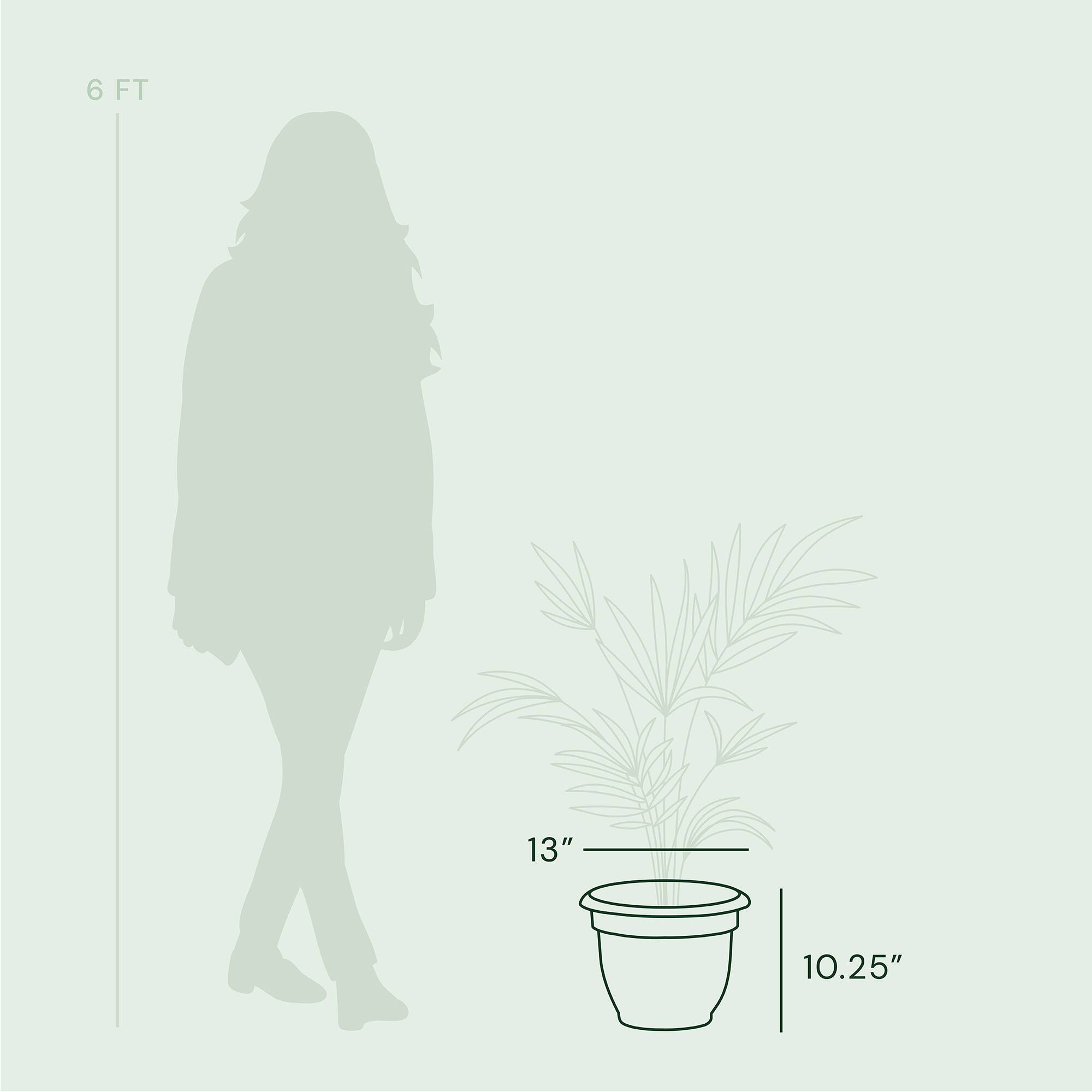 6 FT  
13"  
10.25"
