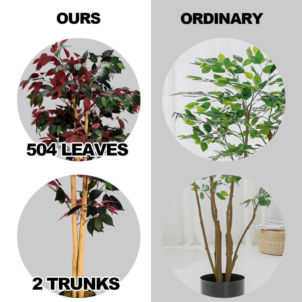 The corrected text from the image is:

- "OURS"
- "ORDINARY"
- "504 LEAVES"
- "2 TRUNKS"