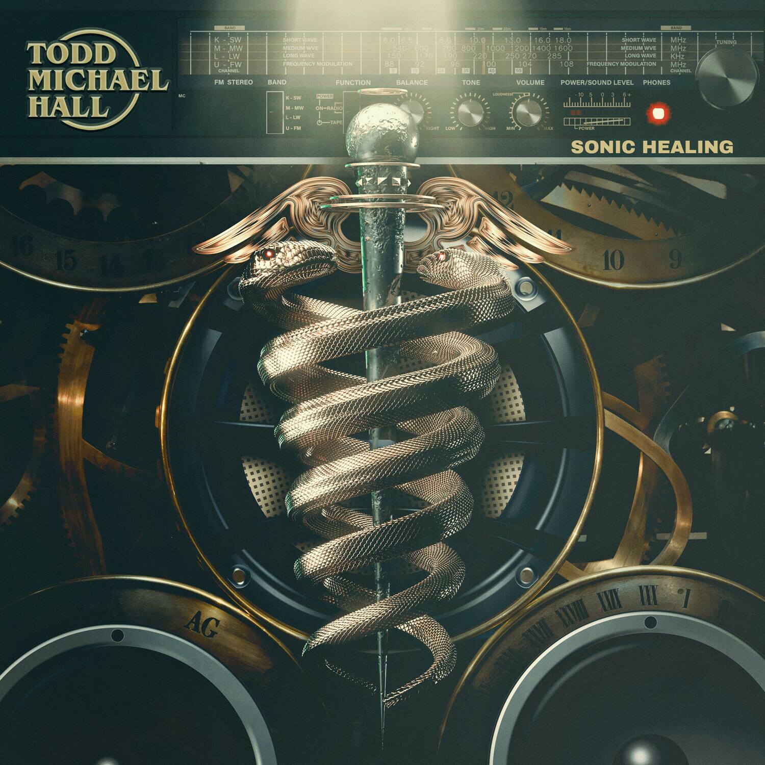 Todd Michael Hall - Sonic Healing  - VINYL LP